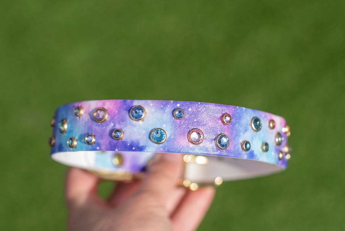 Pastel Galaxy Printed Biothane Collar