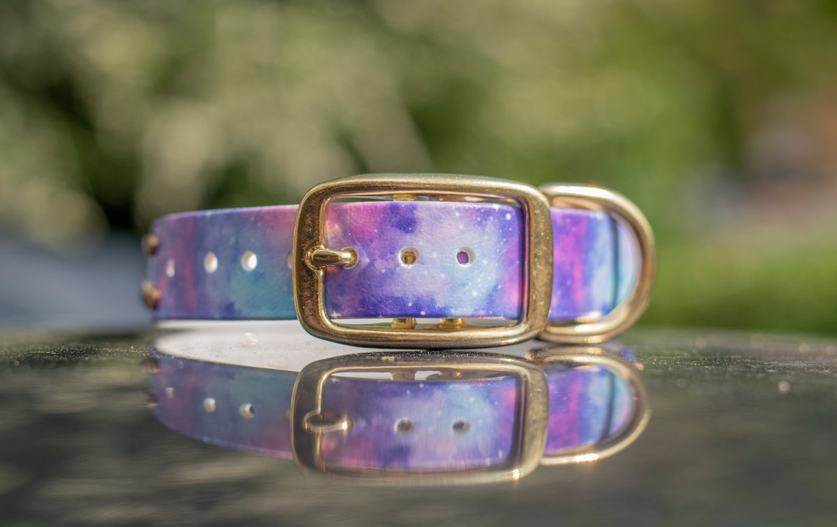 Pastel Galaxy Printed Biothane Collar