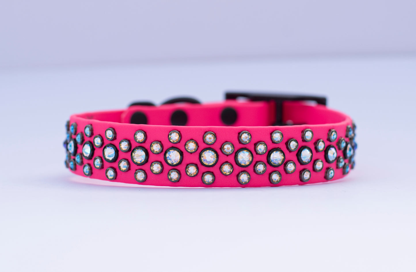 The Aster 1" (25mm) - Biothane Dog Collar