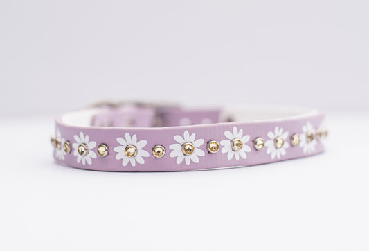 The Daisy Collar (20mm) - Biothane Dog Collar