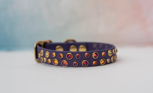 The Prince 3/4" (20mm) - Biothane Dog Collar