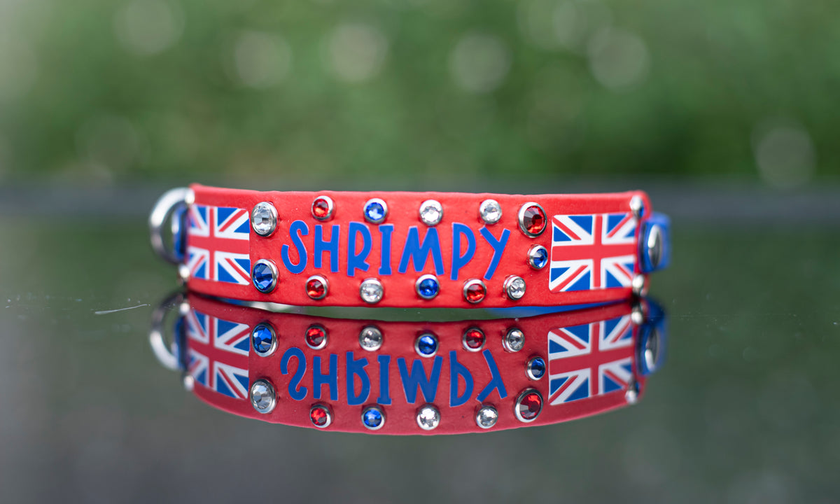Vinyl x Bling Custom Design - Biothane Dog Collar