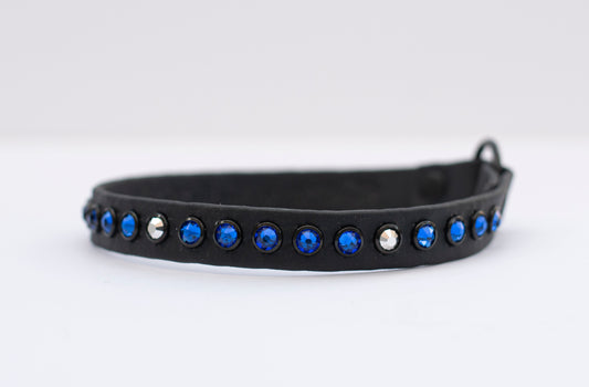 The Essence (Multiple Widths) - Biothane Dog Collar