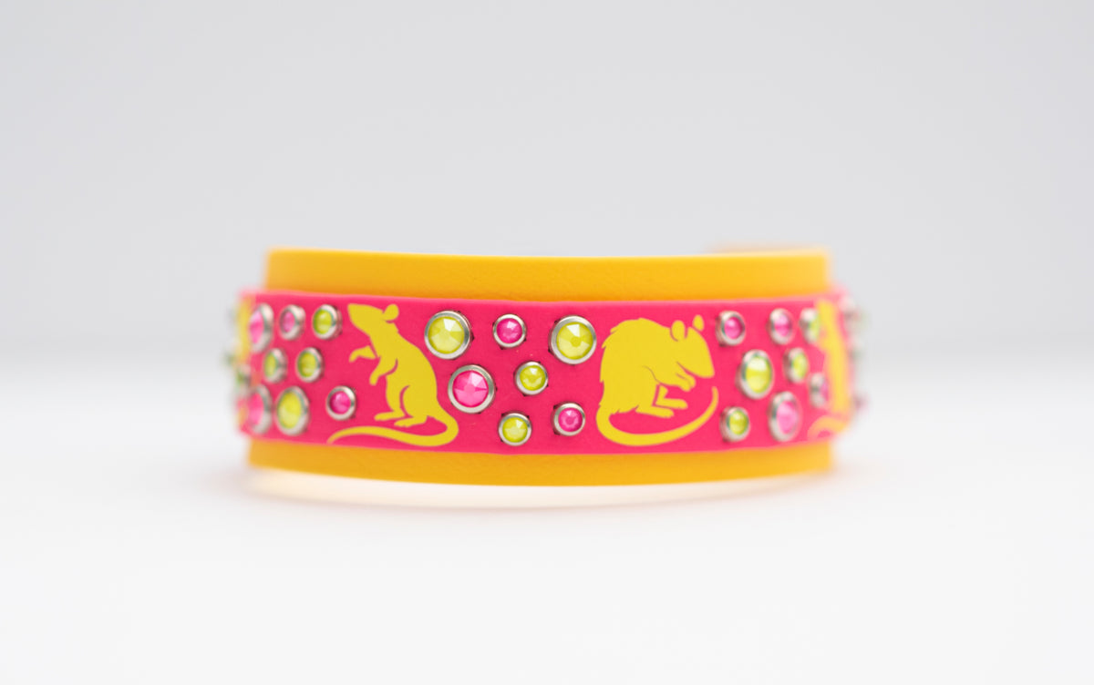 Barn Hunt Collar  - Vinyl Biothane Dog Collar