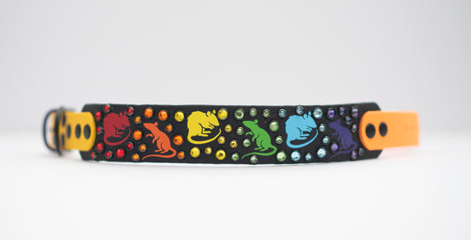 Barn Hunt Collar  - Vinyl Biothane Dog Collar