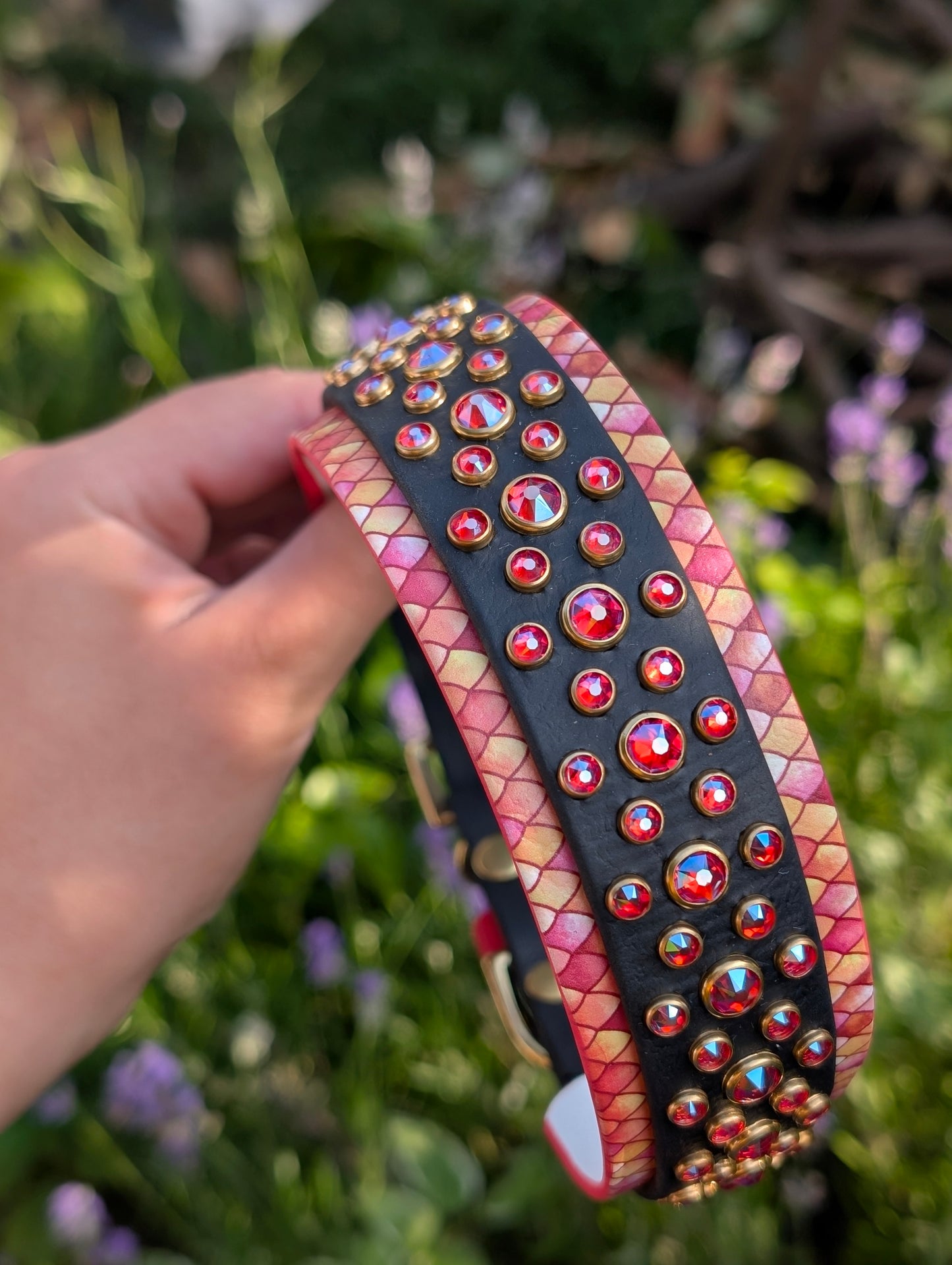 14-17" Size, 1 on 1.5" Width - Ready To Ship Collar