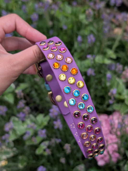 15-18" Size, 1" Width - Ready To Ship Collar