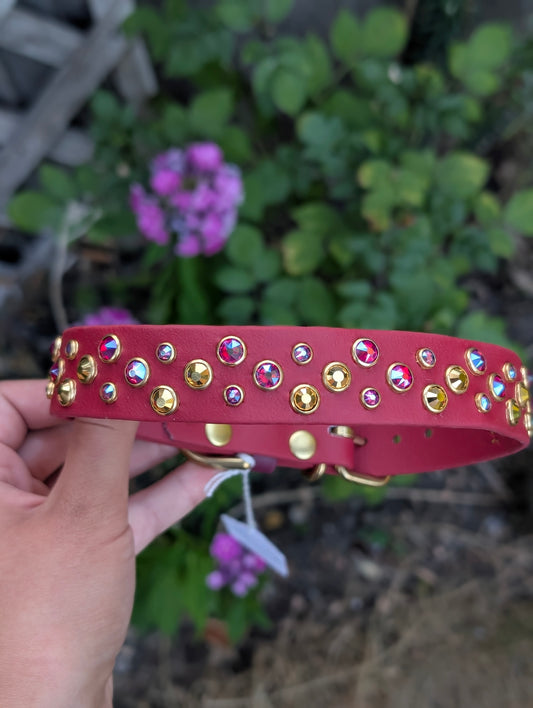 13.75-16.75" Size, 1" Width - Ready To Ship Collar
