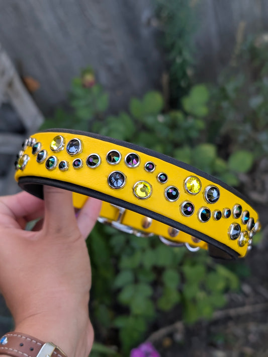 14.5-18.5" Size, 1" on 1.25" Width - Ready To Ship Collar