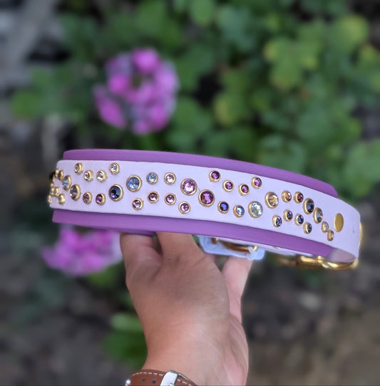15-18" Size, 1" on 1.5" Width - Ready To Ship Collar