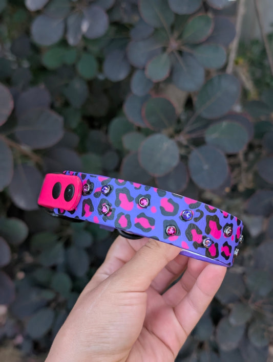 11-14"Size, 1" tapered to 3/4" Width - Ready To Ship Collar