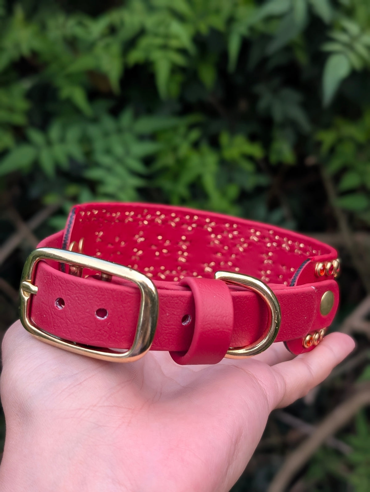 12.5-15.5" Size, 1.5" tapered to 3/4" Width  - Ready To Ship Collar