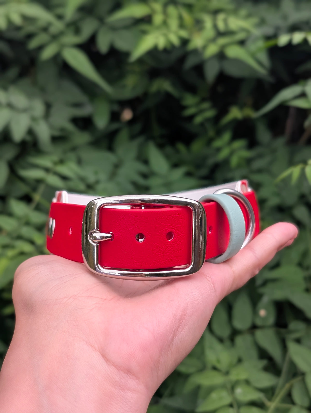 15.5-18.5" Size, 1.5" tapered to 1" Width  - Ready To Ship Collar
