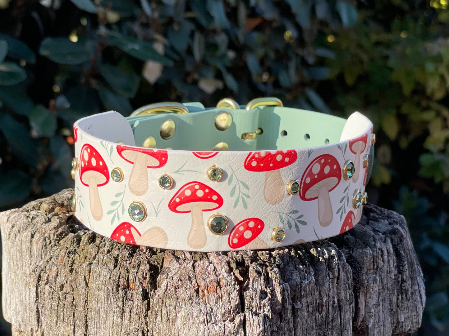 The Fungi Of The Forest - Autumn Biothane Dog Collar