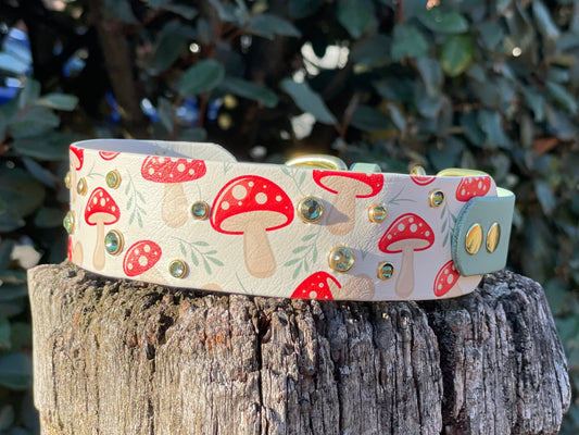 The Fungi Of The Forest - Autumn Biothane Dog Collar