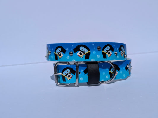 4 x Custom caninedipanddivemaldon collars