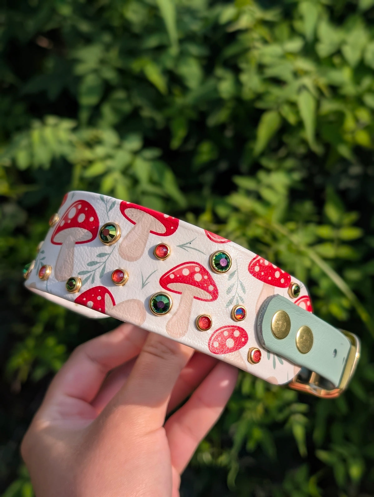 11-14" Size, 1.5" tapered to 3/4" Width  - Ready To Ship Collar