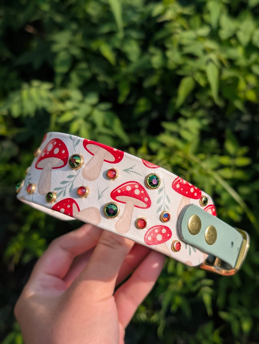 11-14" Size, 1.5" tapered to 3/4" Width  - Ready To Ship Collar